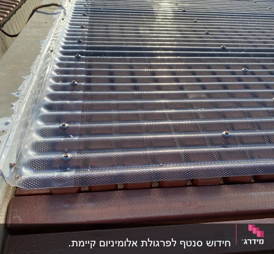 גג פלסטיק שקוף עם קורות עץ מתחת